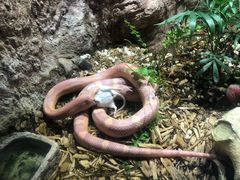 -成都浩海立方海洋公园