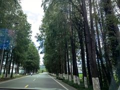 -宁波富邦荪湖山庄(慈城古县城店)