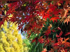 -全国青少年井冈山革命传统教育基地