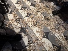 -Long Bar(莱佛士酒店)