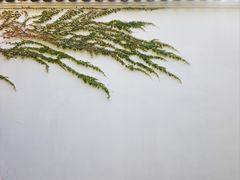 -孔氏南宗家庙