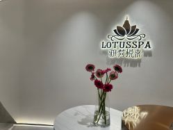 -雅荷悦来双美