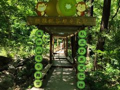 -大岭沟猕猴桃谷风景区