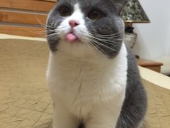 -爱宠屋pet shop·宠物洗澡·宠物美容