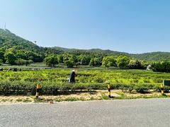 -灵顺寺