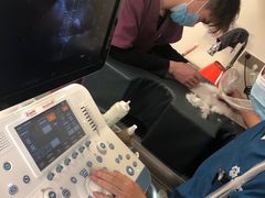 -爱诺耐芙动物医院(万博店)