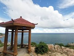 -广东惠东海龟国家级自然保护区