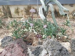 -苏州太湖国家湿地公园