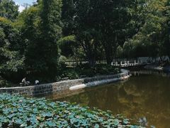 -竹湖园公园