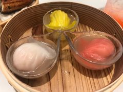 泡在温泉里的虾饺-一盒小幸运
