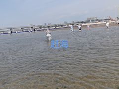 -山海广场