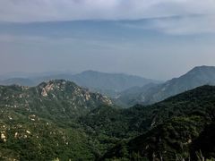 -大岭沟猕猴桃谷风景区