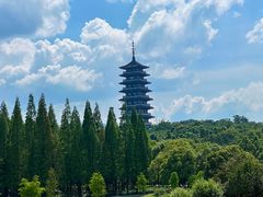 -宜兴龙背山森林公园