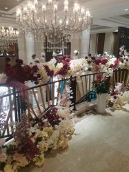 点击看大图 -禾丽康美医疗美容医院