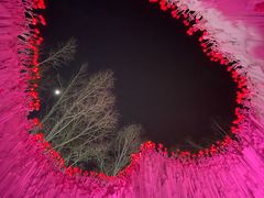 -长春世界雕塑园冰雪艺术天地