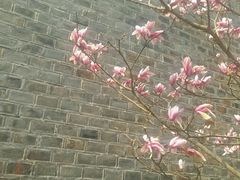 -品腐记·豆腐王朝(老门东总店)