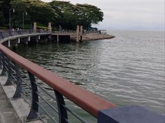 -深圳湾公园(南山区)