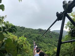 -呀诺达热带雨林