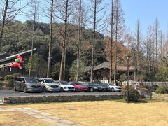 -东明山森林公园