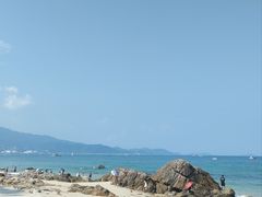 -杨梅坑