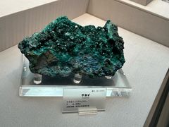 -湖南省地质博物馆