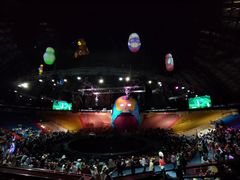 -俄罗斯国家大马戏团