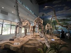 -自贡恐龙博物馆