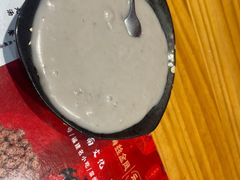 -海丝金凤(金鱼店)