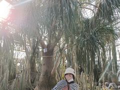-南山植物园