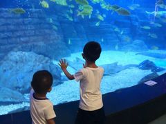 -烟台海昌鲸鲨海洋公园