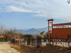 -北京鹫峰国家森林公园