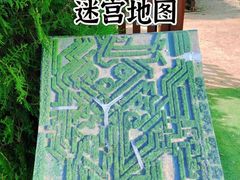 -亲兄弟真人CS团建拓展基地
