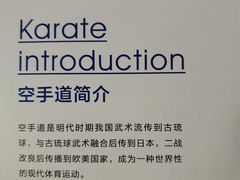 -少年超人空手道馆(优品道中心)