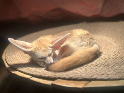 -Zoolung Zoolung动物主题公园(海信广场店)