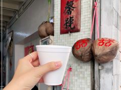 -洪馨椰子