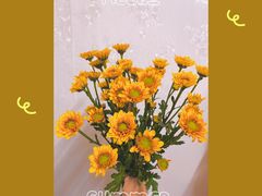 -双季花艺园艺市场(浦东店)