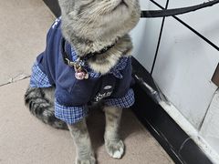 -双生肠粉(牌坊街总店)