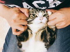 -金家休闲餐吧(金家小吃四店)