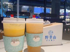 -野萃山·潮汕厚果汁(十亩地店)