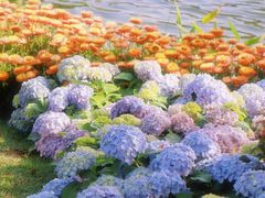 -荔湾湖公园