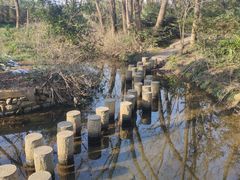 -金孔雀温泉旅游度假村