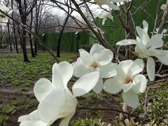 -古塔公园