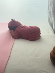 -玛瑞莎孕婴童摄影到家拍