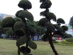-北部湾广场