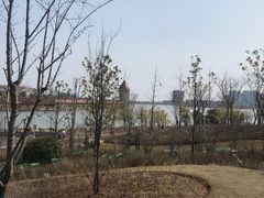-九龙湖公园