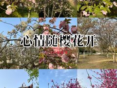 -堤角公园