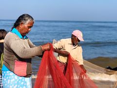 -尼甘布海鲜市场