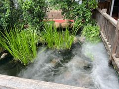 -凤凰山斑鱼馆(恭城店)