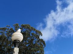 -阿尔卡特拉斯岛