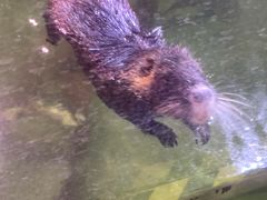 -正佳雨林生态植物园